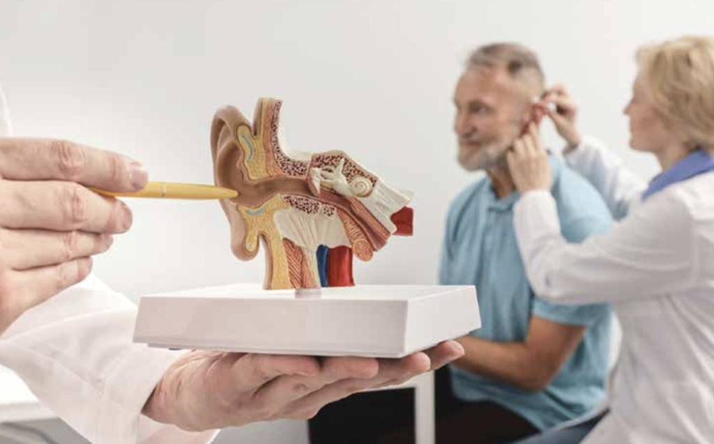 Hearing critical to healthy brains